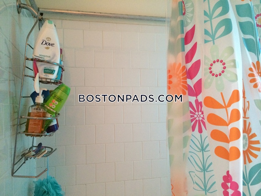 BOSTON - ALLSTON/BRIGHTON BORDER - 1 Bed, 1 Bath - Image 13