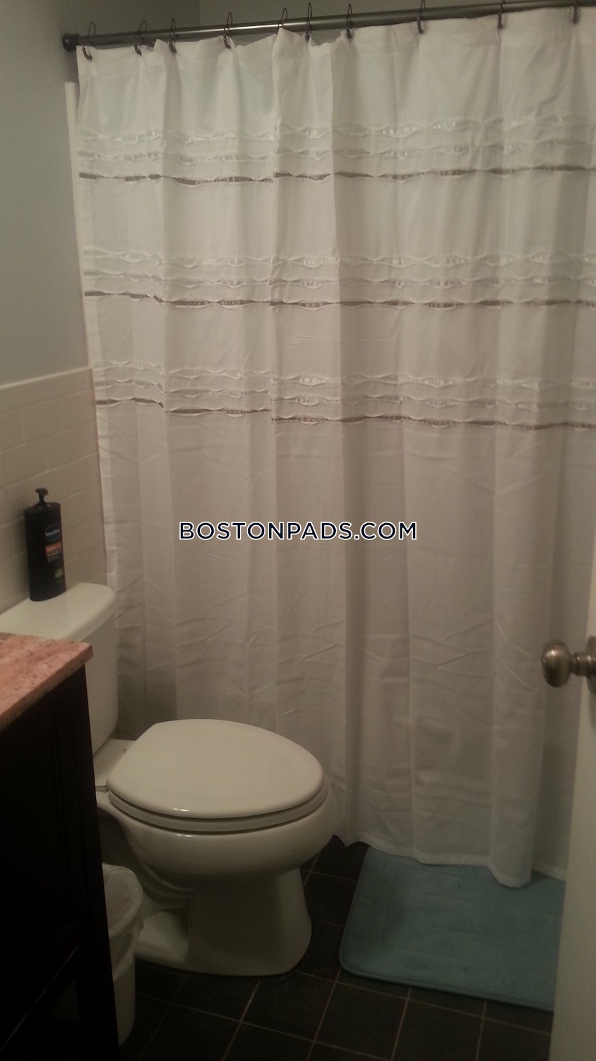 BOSTON - BRIGHTON- WASHINGTON ST./ ALLSTON ST. - 1 Bed, 1 Bath - Image 15