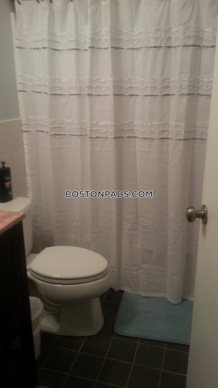 BOSTON - BRIGHTON- WASHINGTON ST./ ALLSTON ST. - 1 Bed, 1 Bath - Image 14