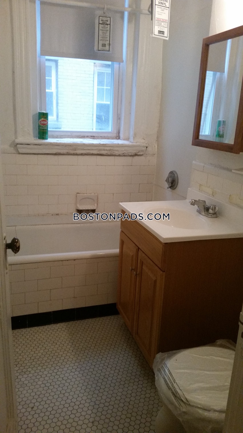 BOSTON - BRIGHTON - CLEVELAND CIRCLE - 1 Bed, 1 Bath - Image 20