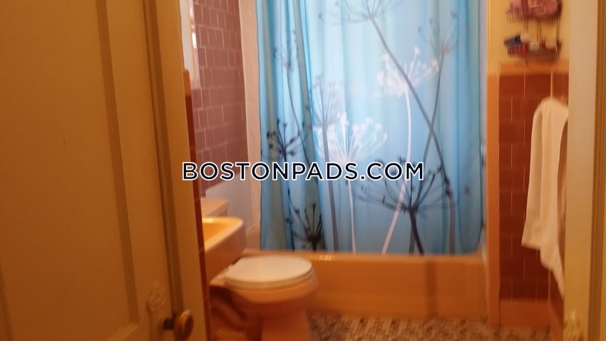 BOSTON - ALLSTON/BRIGHTON BORDER - 1 Bed, 1 Bath - Image 20