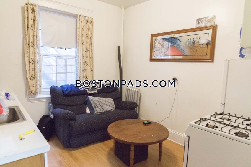 BOSTON - ALLSTON/BRIGHTON BORDER - 1 Bed, 1 Bath - Image 10