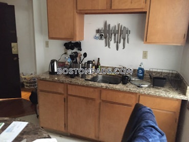 Allston/Brighton Border, Boston, MA - Studio, 1 Bath - $1,900 - ID#4567608