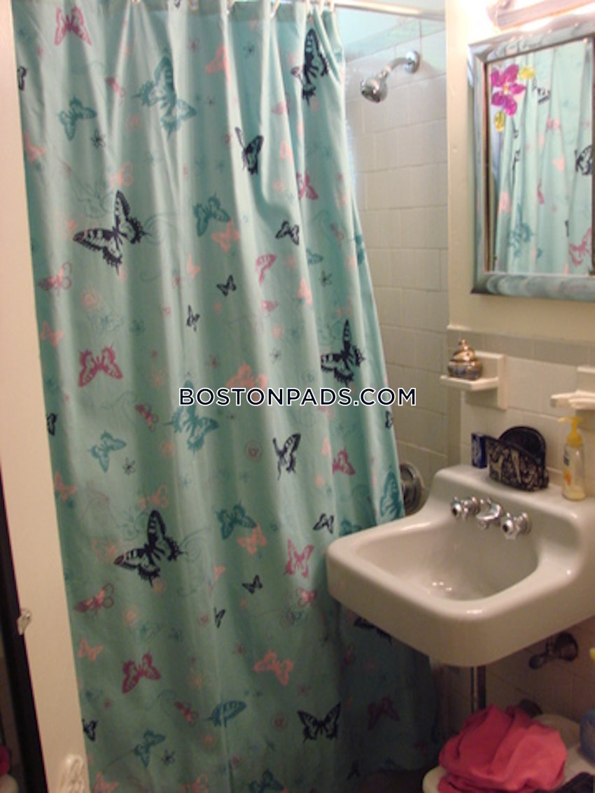 BOSTON - ALLSTON/BRIGHTON BORDER - Studio , 1 Bath - Image 9