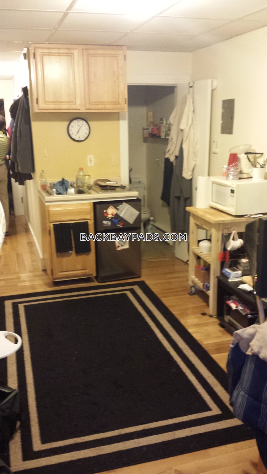 BOSTON - FENWAY/KENMORE - Studio , 1 Bath - Image 3