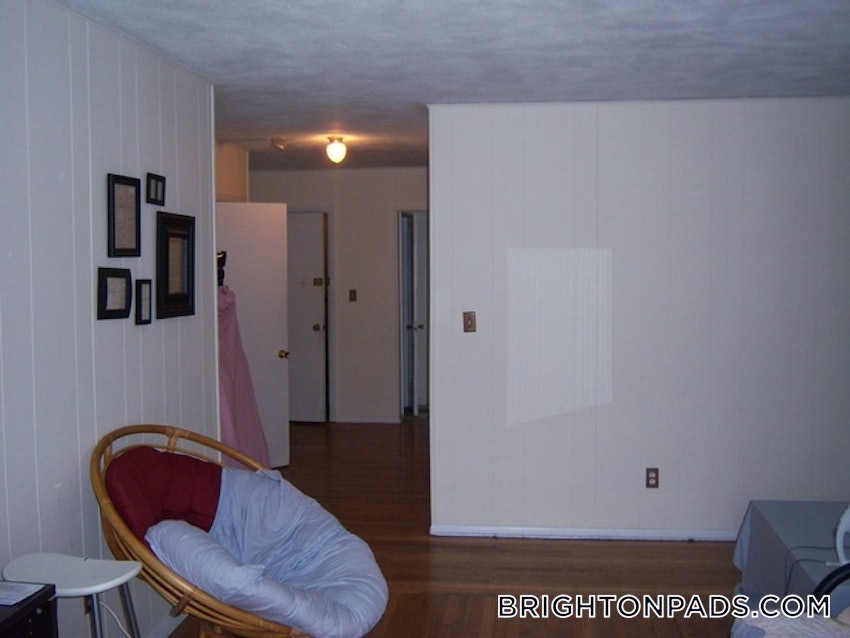 BOSTON - BRIGHTON - BOSTON COLLEGE - 3 Beds, 1 Bath - Image 7