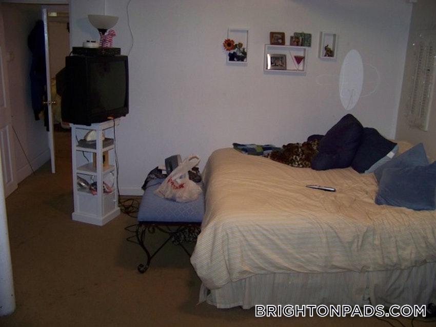 BOSTON - BRIGHTON - BOSTON COLLEGE - 3 Beds, 1 Bath - Image 23