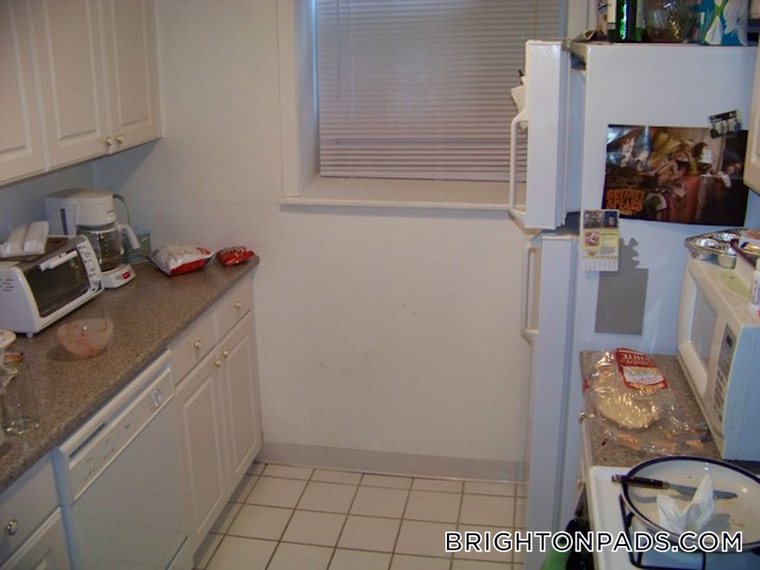 BOSTON - BRIGHTON - BOSTON COLLEGE - 3 Beds, 1 Bath - Image 17