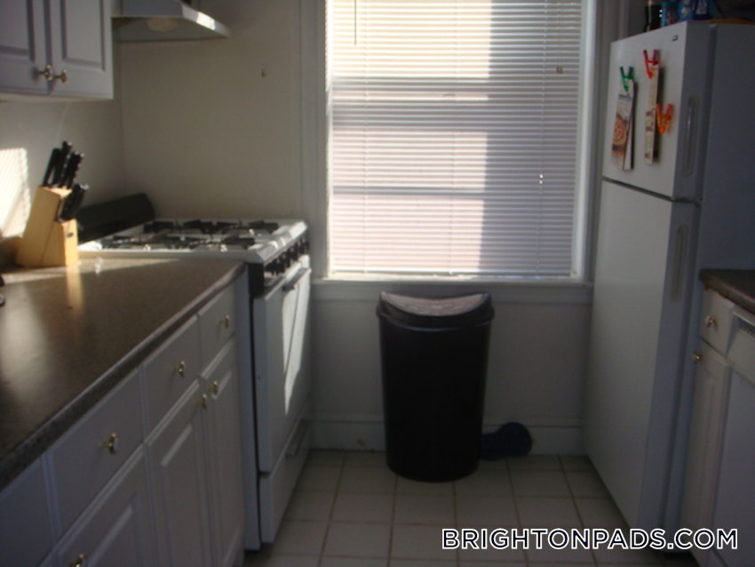 BOSTON - BRIGHTON - CLEVELAND CIRCLE - 1 Bed, 1 Bath - Image 5