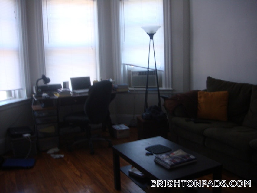 BOSTON - BRIGHTON - CLEVELAND CIRCLE - 1 Bed, 1 Bath - Image 3