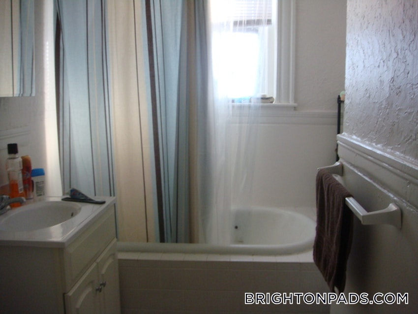 BOSTON - BRIGHTON - CLEVELAND CIRCLE - 1 Bed, 1 Bath - Image 6