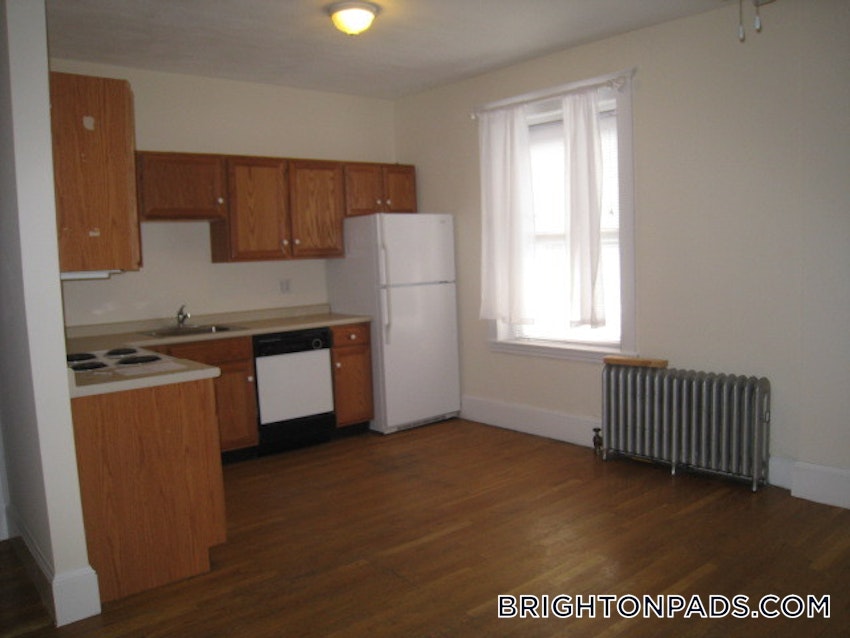 BOSTON - BRIGHTON - CLEVELAND CIRCLE - 3 Beds, 1 Bath - Image 12