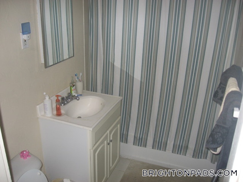 BOSTON - BRIGHTON - CLEVELAND CIRCLE - 1 Bed, 1 Bath - Image 7