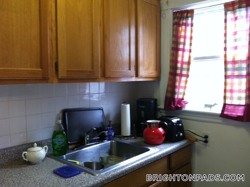 BOSTON - BRIGHTON - BOSTON COLLEGE - 3 Beds, 1 Bath - Image 13