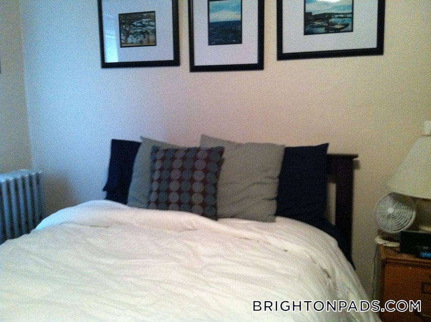 BOSTON - BRIGHTON - BOSTON COLLEGE - 3 Beds, 1 Bath - Image 7