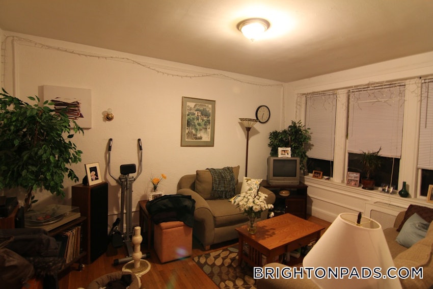 BOSTON - BRIGHTON - BOSTON COLLEGE - 1 Bed, 1 Bath - Image 3