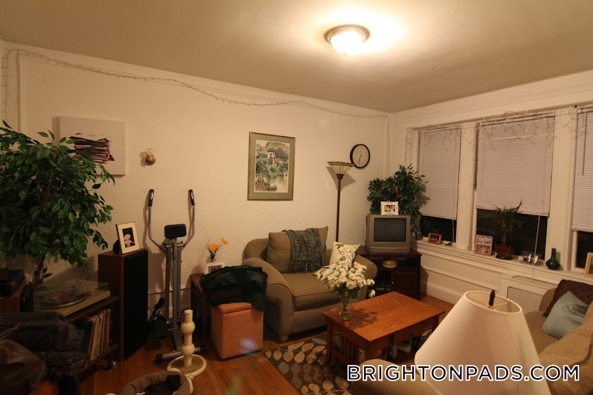 BOSTON - BRIGHTON - CLEVELAND CIRCLE - 1 Bed, 1 Bath - Image 3