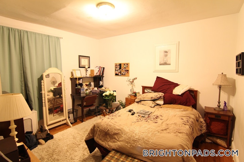 BOSTON - BRIGHTON - CLEVELAND CIRCLE - 1 Bed, 1 Bath - Image 9