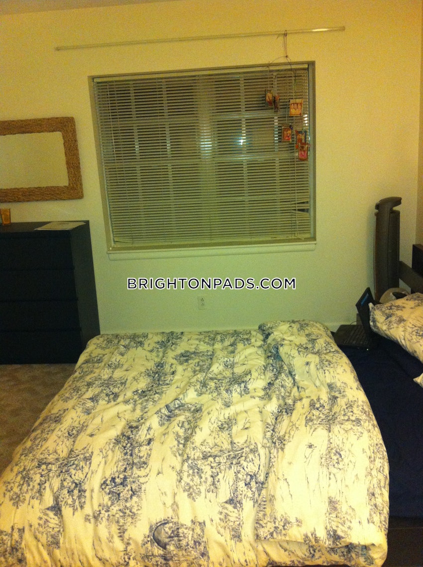 BOSTON - BRIGHTON - BOSTON COLLEGE - 2 Beds, 1 Bath - Image 4