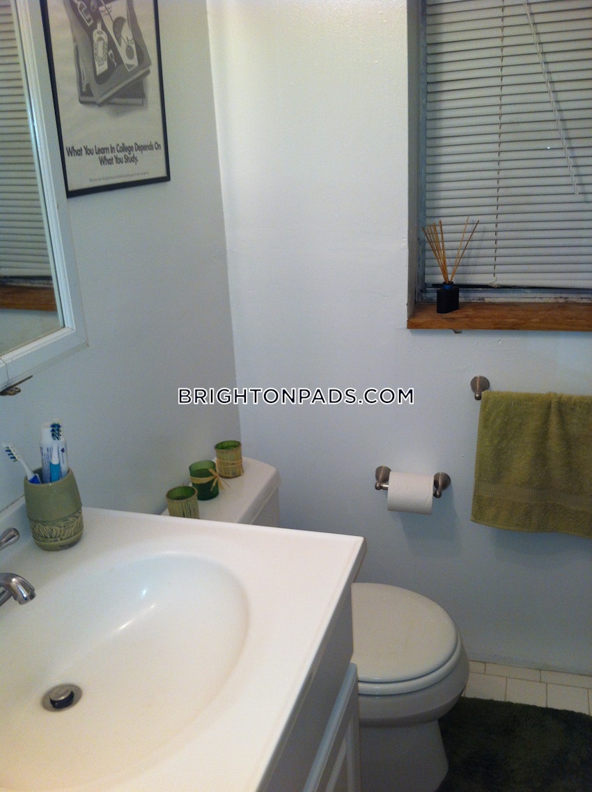 BOSTON - BRIGHTON - BOSTON COLLEGE - 2 Beds, 1 Bath - Image 10