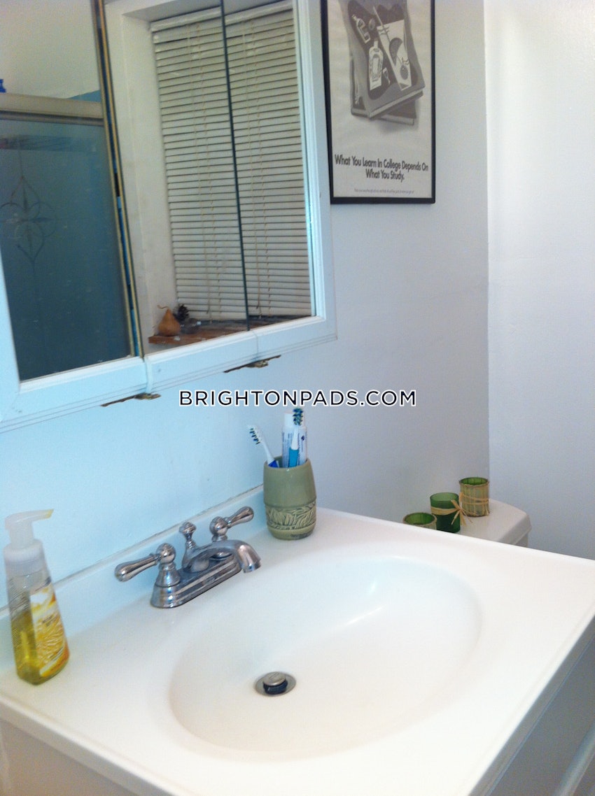 BOSTON - BRIGHTON - BOSTON COLLEGE - 2 Beds, 1 Bath - Image 9