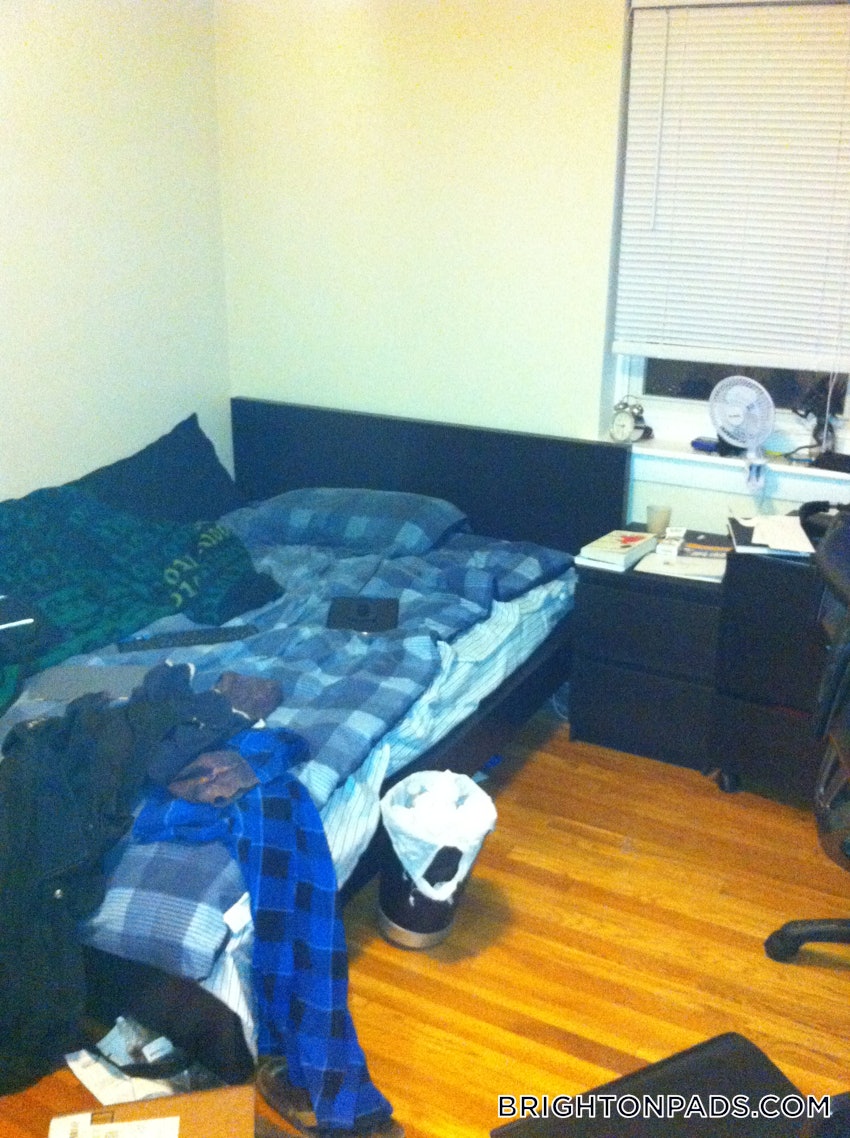 BOSTON - BRIGHTON - BOSTON COLLEGE - 2 Beds, 1 Bath - Image 5