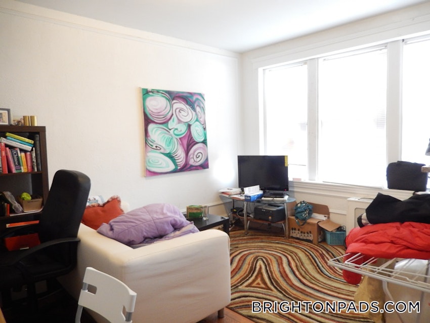 BOSTON - BRIGHTON - CLEVELAND CIRCLE - 1 Bed, 1 Bath - Image 4