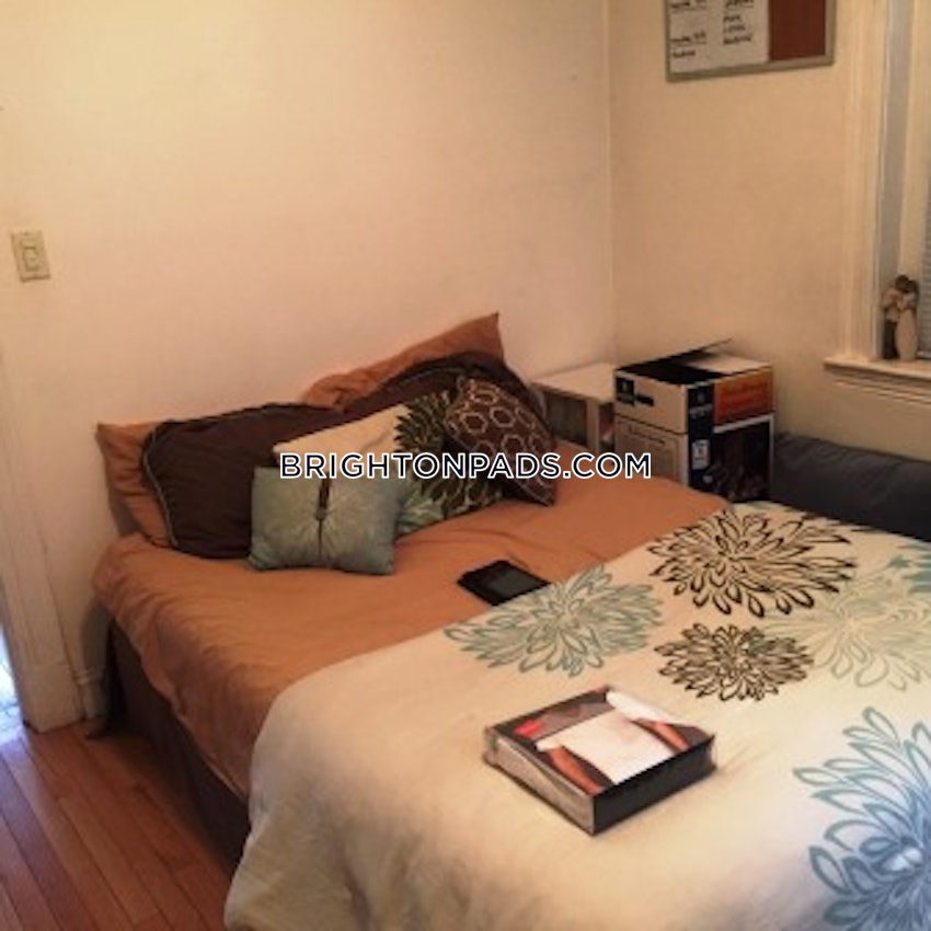 BOSTON - BRIGHTON - CLEVELAND CIRCLE - 1 Bed, 1 Bath - Image 7