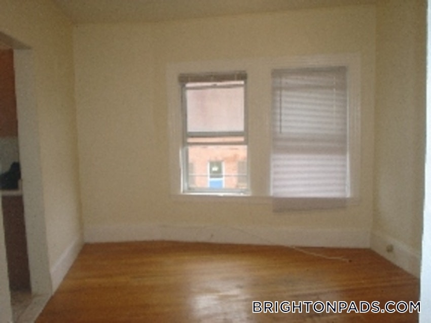 BOSTON - BRIGHTON - BRIGHTON CENTER - 1 Bed, 1 Bath - Image 2