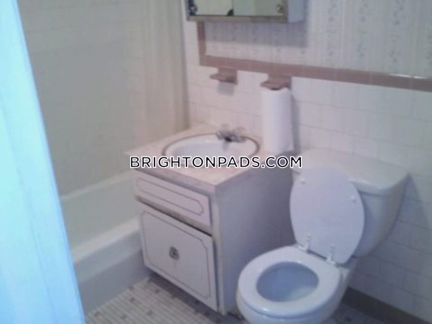 BOSTON - BRIGHTON - BRIGHTON CENTER - 1 Bed, 1 Bath - Image 10