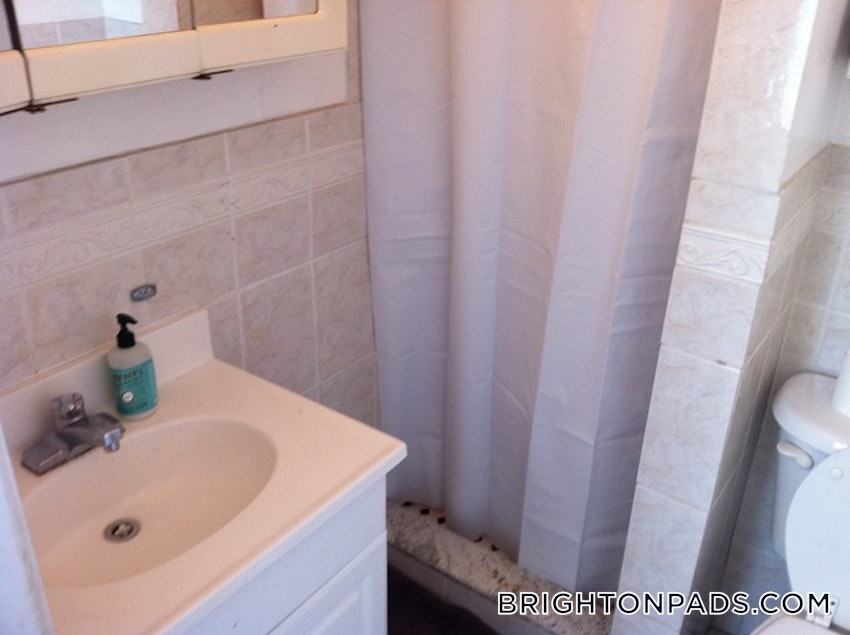 BOSTON - BRIGHTON - BRIGHTON CENTER - 4 Beds, 2 Baths - Image 37