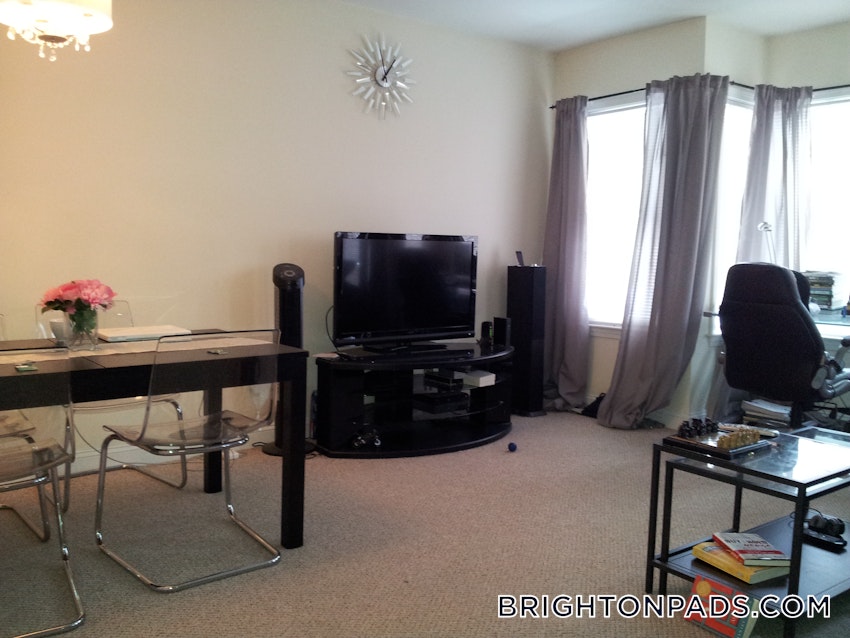 BOSTON - BRIGHTON - BRIGHTON CENTER - 1 Bed, 1 Bath - Image 6