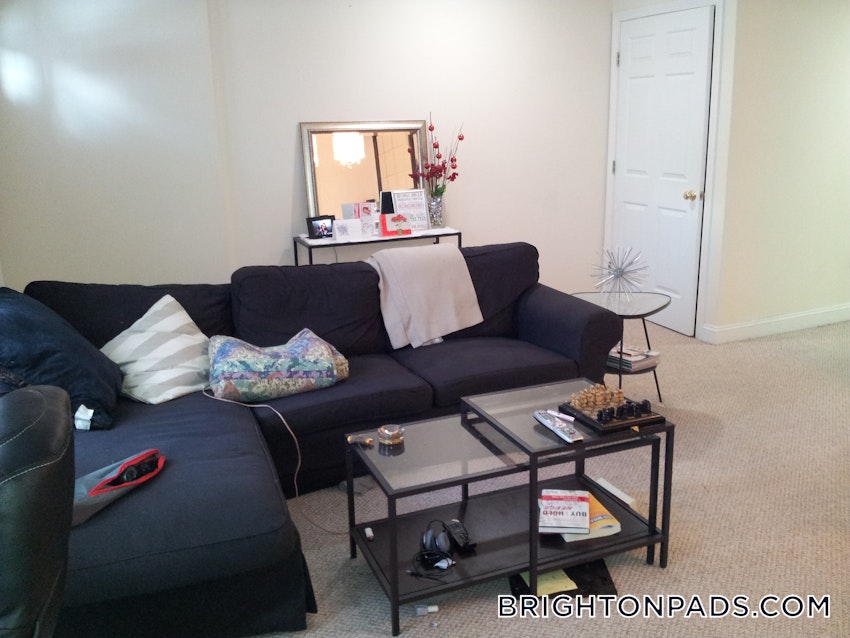 BOSTON - BRIGHTON - BRIGHTON CENTER - 1 Bed, 1 Bath - Image 15