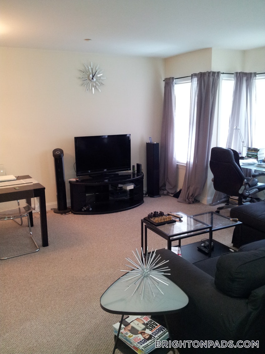 BOSTON - BRIGHTON - BRIGHTON CENTER - 1 Bed, 1 Bath - Image 2