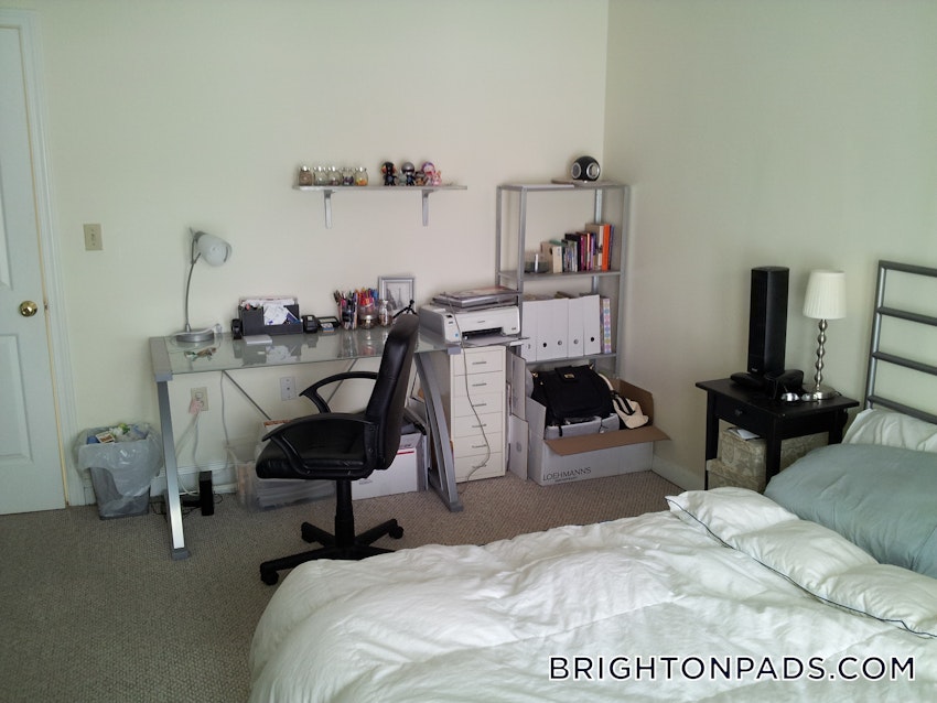 BOSTON - BRIGHTON - BRIGHTON CENTER - 1 Bed, 1 Bath - Image 13