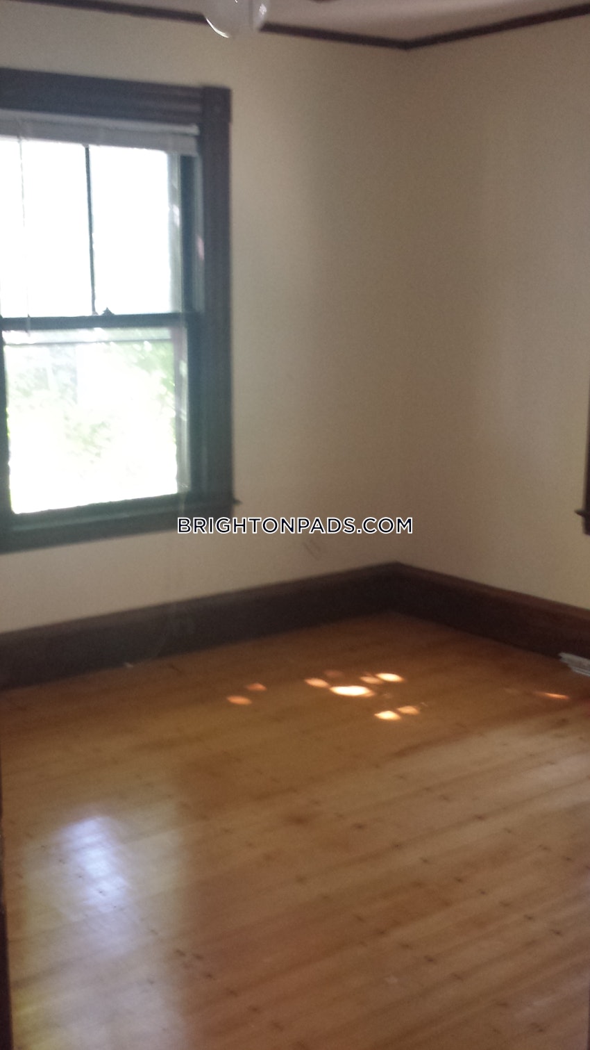 BOSTON - BRIGHTON - BRIGHTON CENTER - 5 Beds, 2 Baths - Image 25