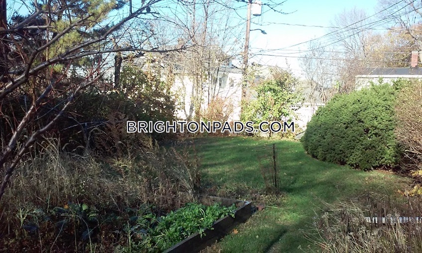 Boston - $3,300+ /month