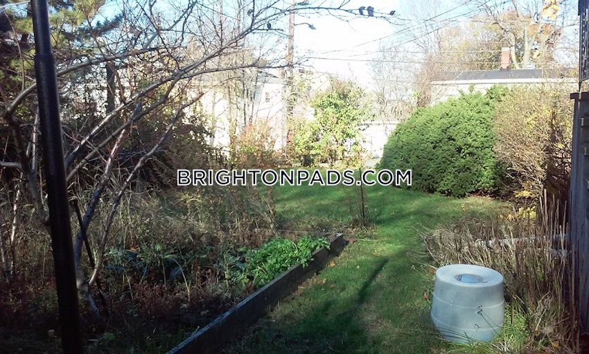 Boston - Brighton - Brighton Center - 4 Beds, 1 Bath - Image 47