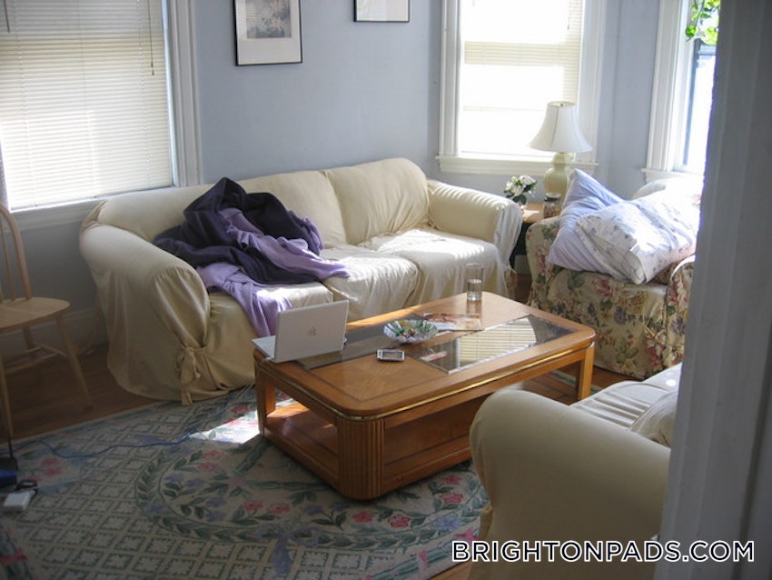 BOSTON - BRIGHTON - BRIGHTON CENTER - 4 Beds, 2 Baths - Image 20