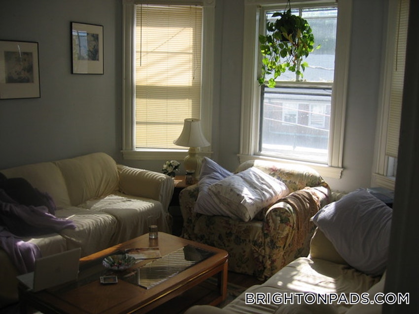 BOSTON - BRIGHTON - BRIGHTON CENTER - 4 Beds, 2 Baths - Image 19