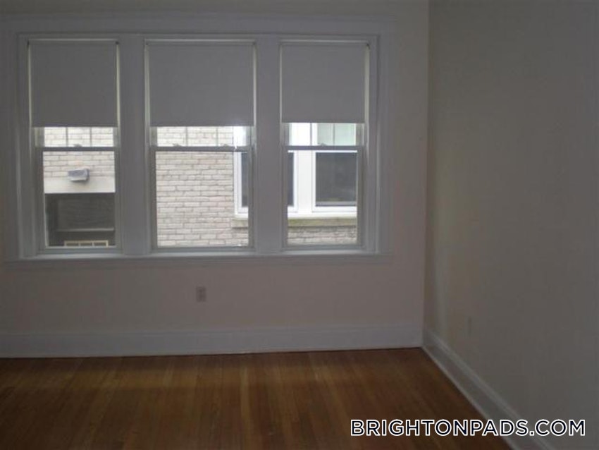 BOSTON - BRIGHTON - CLEVELAND CIRCLE - 1 Bed, 1 Bath - Image 38