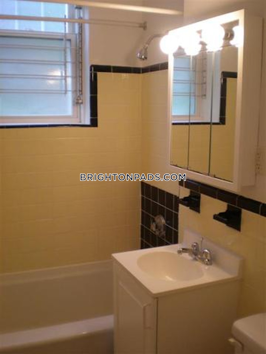 BOSTON - BRIGHTON - CLEVELAND CIRCLE - 1 Bed, 1 Bath - Image 46