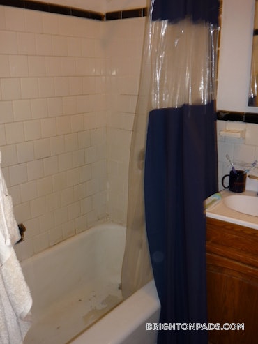 Cleveland Circle - Brighton, Boston, MA - Studio, 1 Bath - $1,995 - ID#5328130