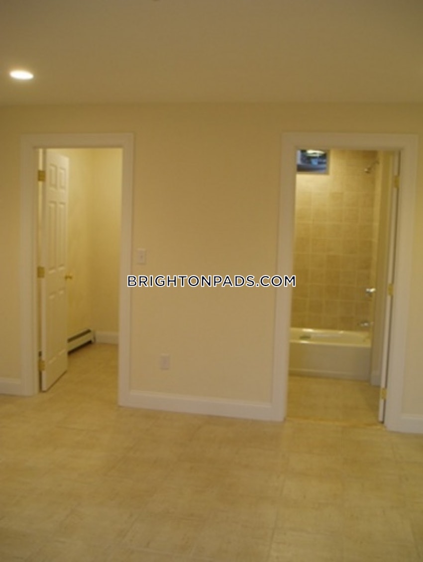 BOSTON - BRIGHTON - CLEVELAND CIRCLE - 1 Bed, 1 Bath - Image 24