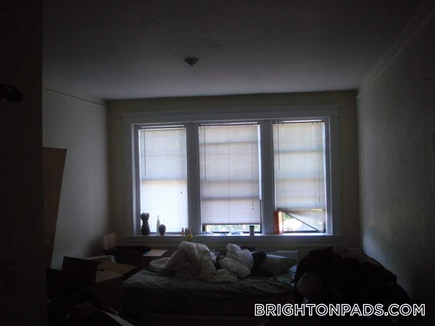 BOSTON - BRIGHTON - BOSTON COLLEGE - 1 Bed, 1 Bath - Image 13