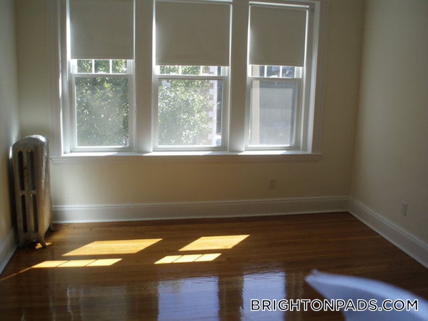 BOSTON - BRIGHTON - CLEVELAND CIRCLE - 3 Beds, 1 Bath - Image 11