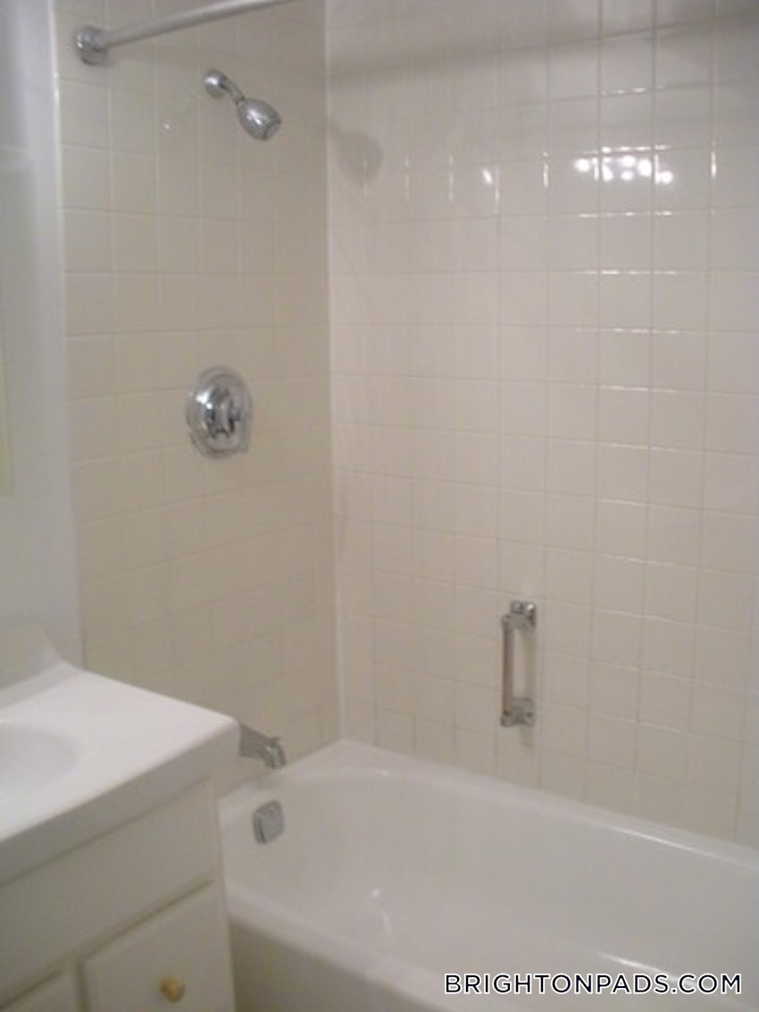 BOSTON - BRIGHTON - CLEVELAND CIRCLE - 1 Bed, 1 Bath - Image 10