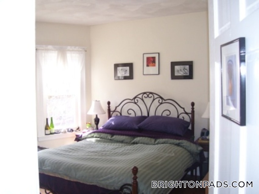 BOSTON - BRIGHTON - CLEVELAND CIRCLE - 4 Beds, 1 Bath - Image 11