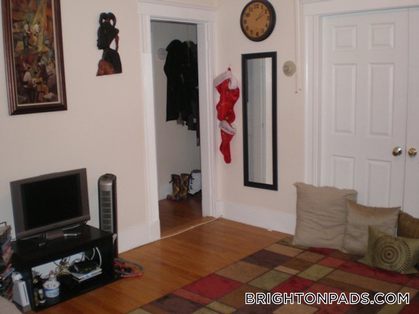 BOSTON - BRIGHTON - CLEVELAND CIRCLE - 3 Beds, 1 Bath - Image 20