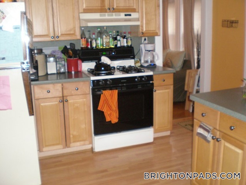 BOSTON - BRIGHTON - CLEVELAND CIRCLE - 3 Beds, 1 Bath - Image 4